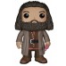 FUNKO Kit Trio Action Figure Miniatura Personagens de Harry Potter